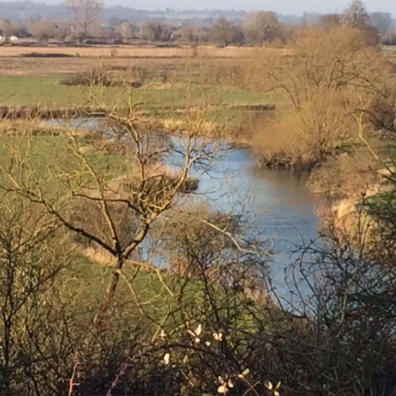 Semington-Brook-meets-the-River-Avon